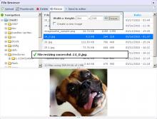 IMCE Screenshot