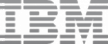 Logo image for IBM