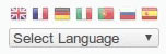 Select Language
