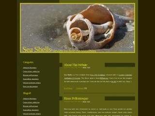 ������������ ������� ������ Sea Shells