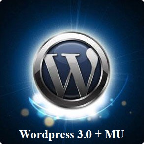 Wordpress 3.0 - новая версия, новые возможности!
